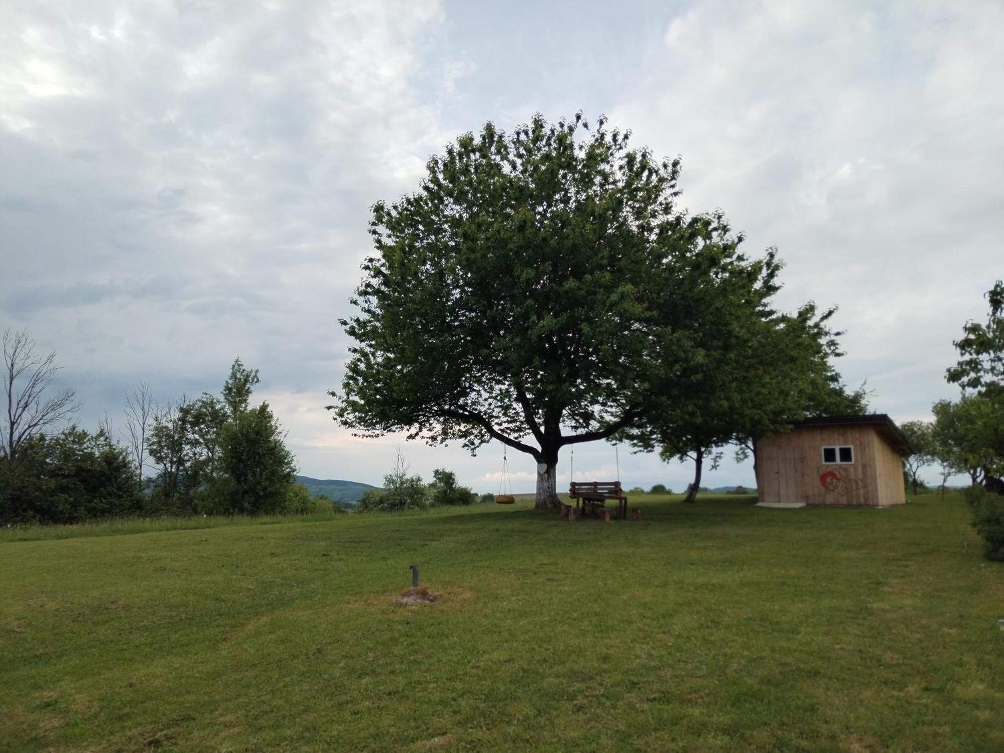 Yellow Rose Rakovica Exterior photo